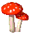 mushroom mushroom